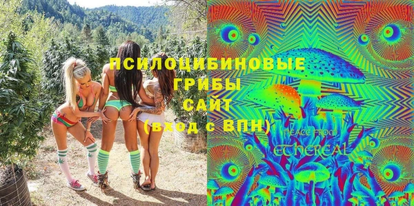 spice Алексеевка