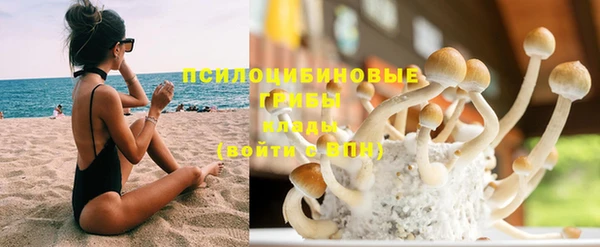 spice Алексеевка