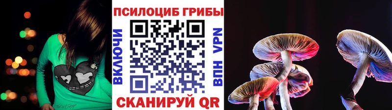 Псилоцибиновые грибы мухоморы Гусь-Хрустальный